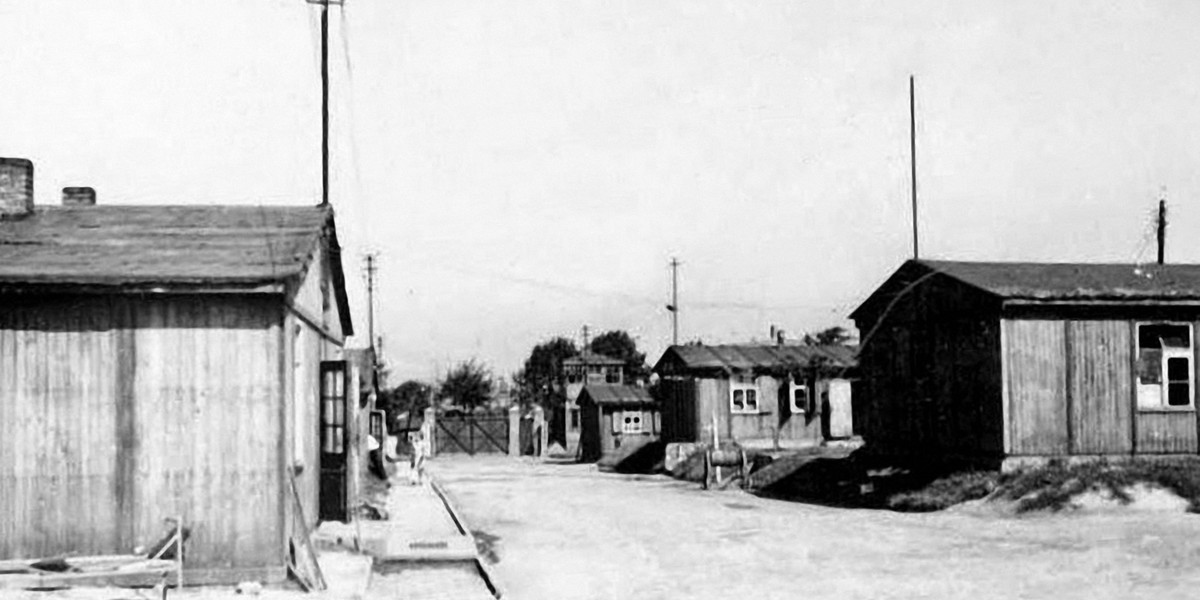 Salomon Morel. Zbrodniarz o rozkołatanych nerwach Film