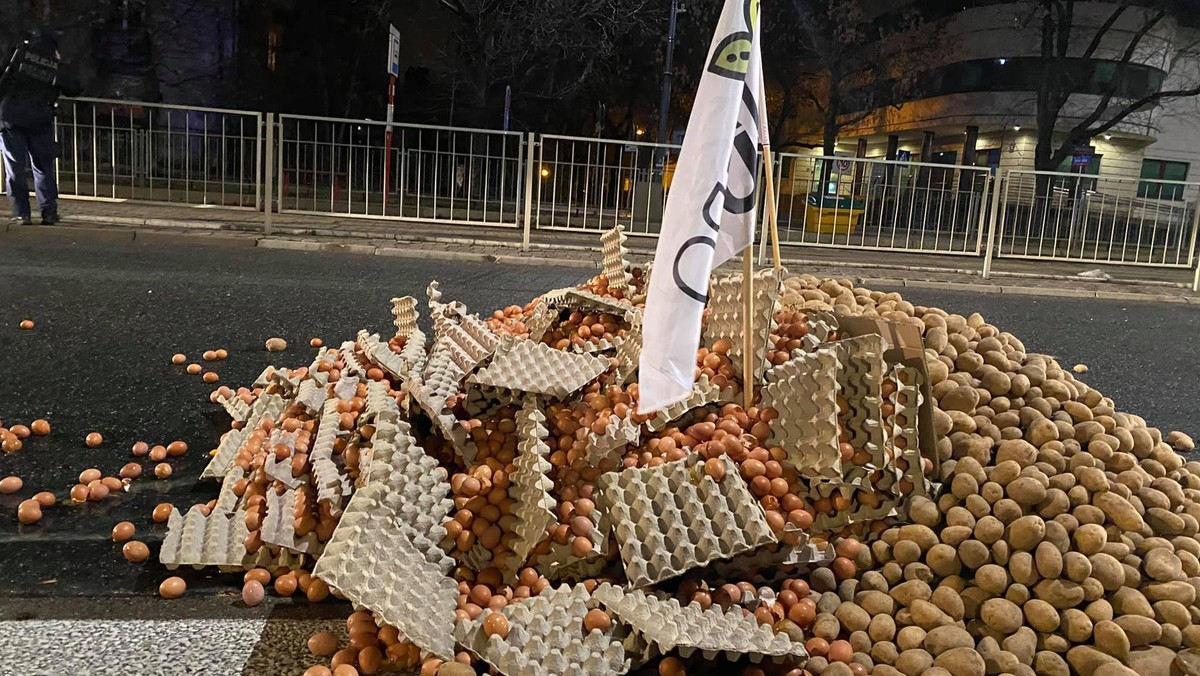 Protest rolników. Rozrzucili jedzenie przed domem Kaczyńskiego