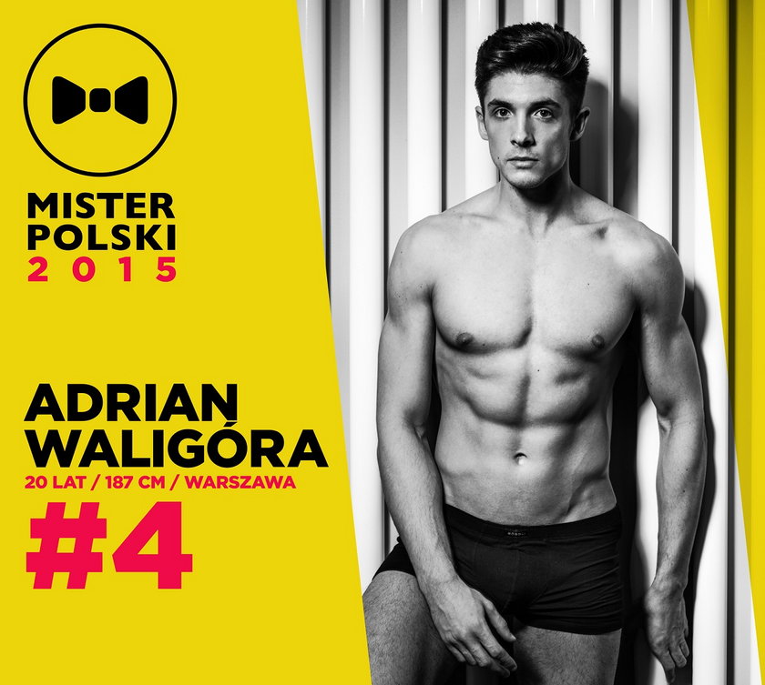 Mister Polski 2015