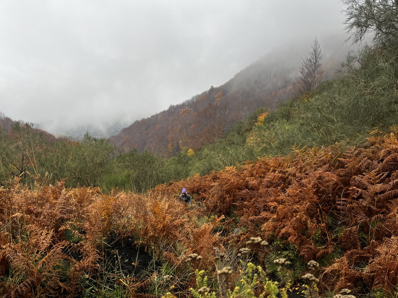 Szlak na Serra del Salifizio i Monte Zoccolaro.