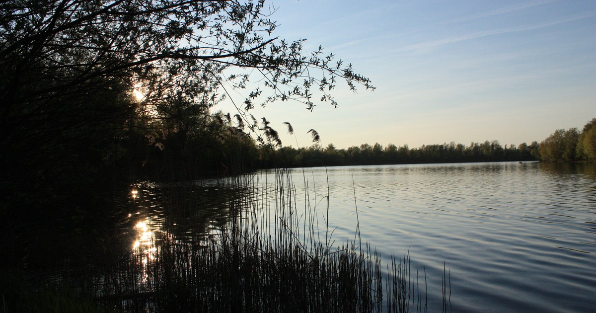 Gmina Czernica. Pierogi, relikwie, browar…