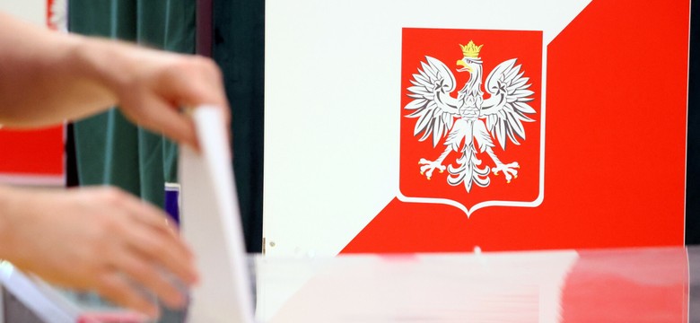 Latarnik Wyborczy wystartował. Podpowie, na kogo zagłosować w wyborach