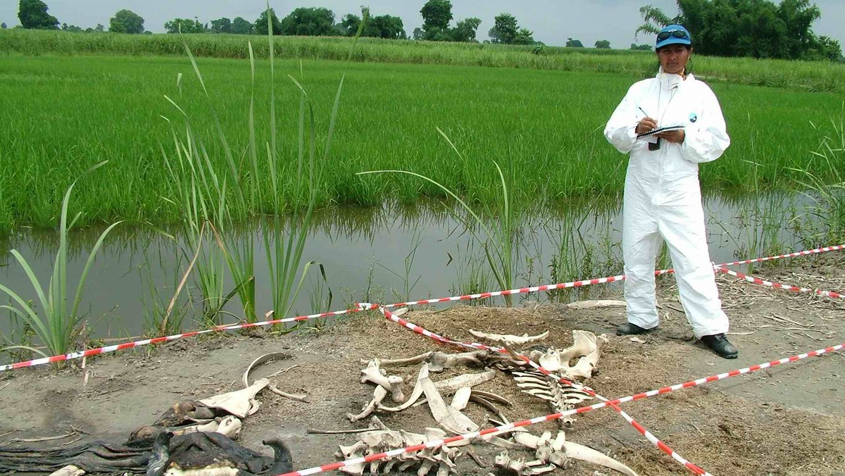 Wciąż nie wiemy dokładnie, co dzieje się z ludzkim ciałem, gdy ujdzie z niego życie. Brytyjska specjalistka medycyny sądowej postanowiła rozszyfrować tajemnicę odoru rozkładających się zwłok. Jest przekonana, że dzięki temu będzie można wyjaśnić zagadkę wielu zbrodni.