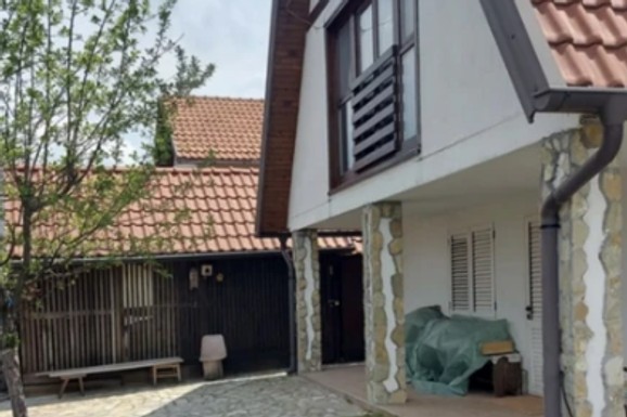Naša pevačica izdaje TRI STANA u Beogradu, jedan ima 150 kvadrata, a kuću na planini je skroz renovirala: "Pravim na placu i organsku hranu"