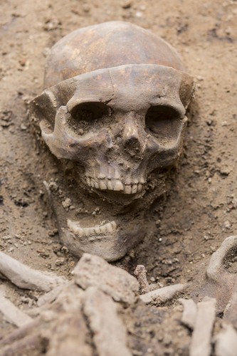 Szkielet odkryty w Poznaniu