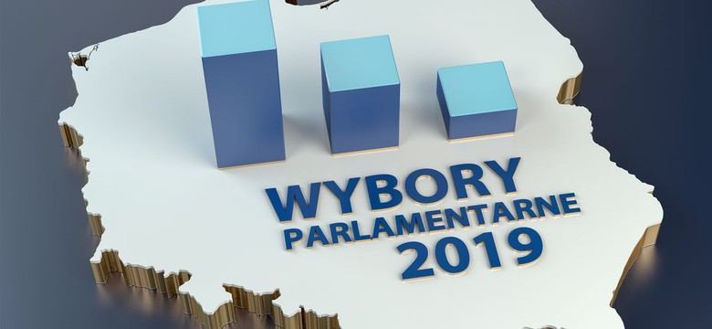 Wybory parlamentarne 2019: LISTY kandydatów do Sejmu i Senatu
