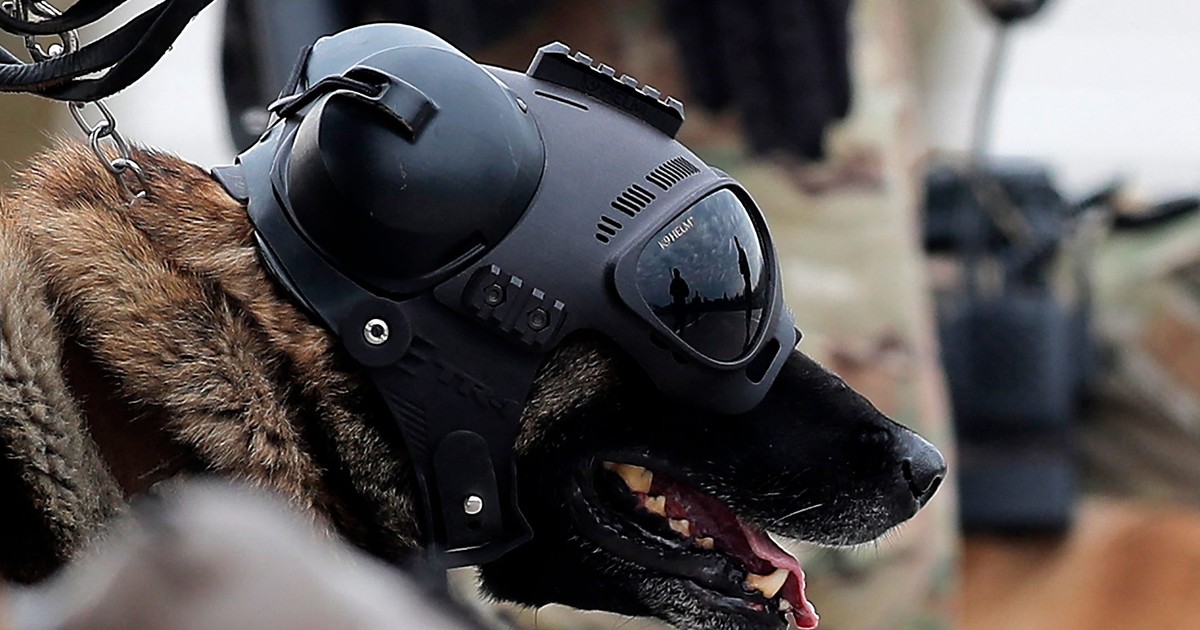 What is Warhound, Palmer Luckey's war dog startup that just emerged ...