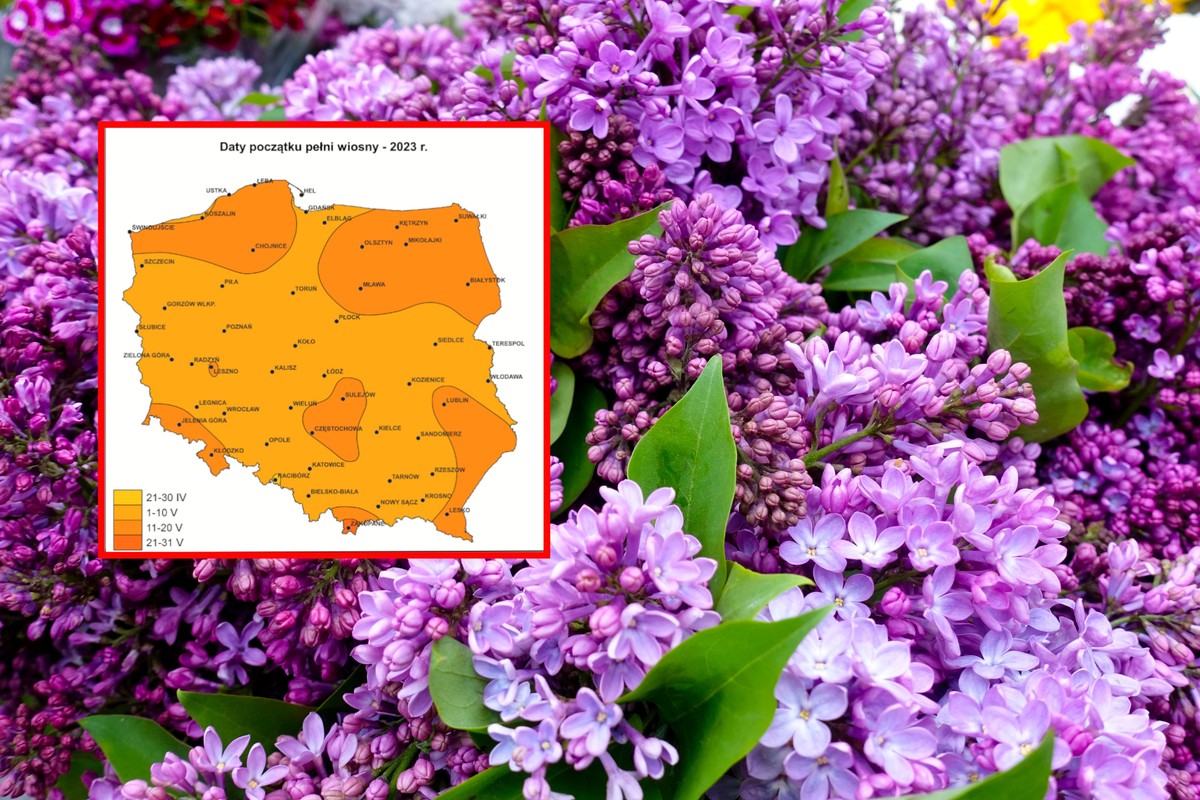 "Obserwujemy już kwitnienie kasztanowca i lilaka"