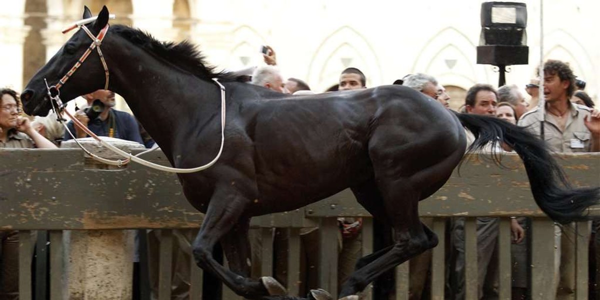 Tradycyjna gonitwa Palio Race we Włoszech