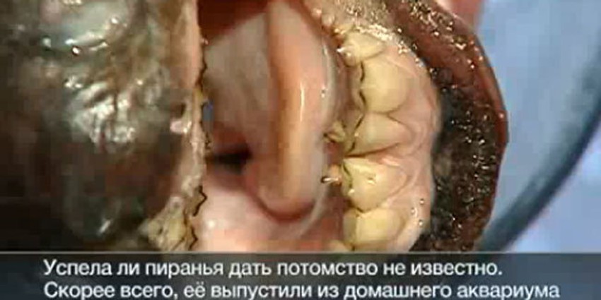 Vlasti razmatraju zatvaranje jezera