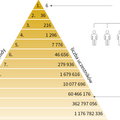 Jak działa piramida finansowa? Ta grafika wiele wyjaśnia