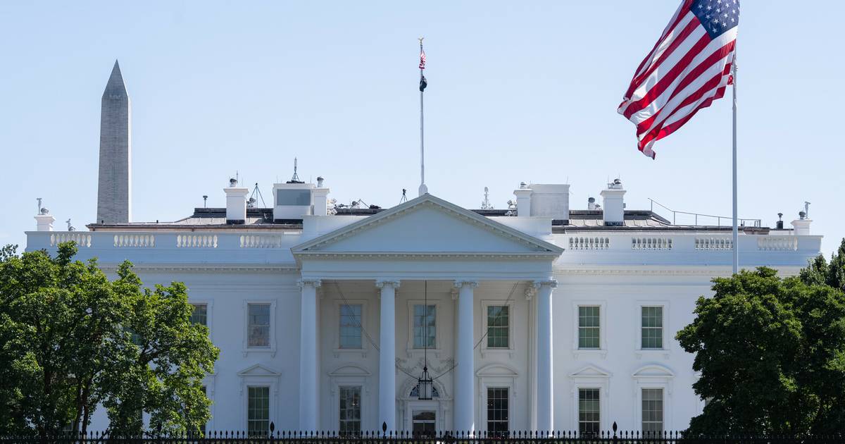 Walki MMA na terenie Białego Domu? Szef UFC potwierdza szokujący pomysł Trumpa