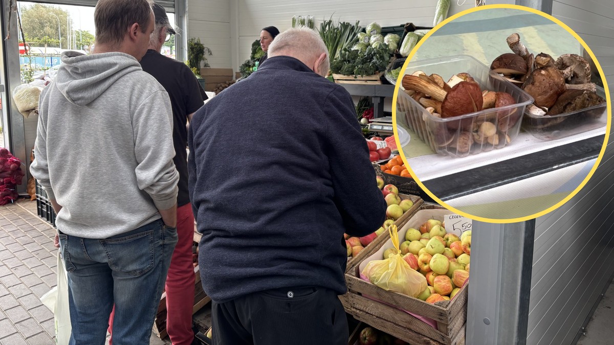 W lasach pojawiły się grzyby. Tyle na targowisku chcą za przysmak Polaków