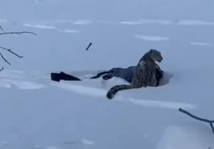 Ženu napao snežni leopard