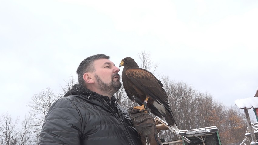 Vladimir Ilić iz Stapara 