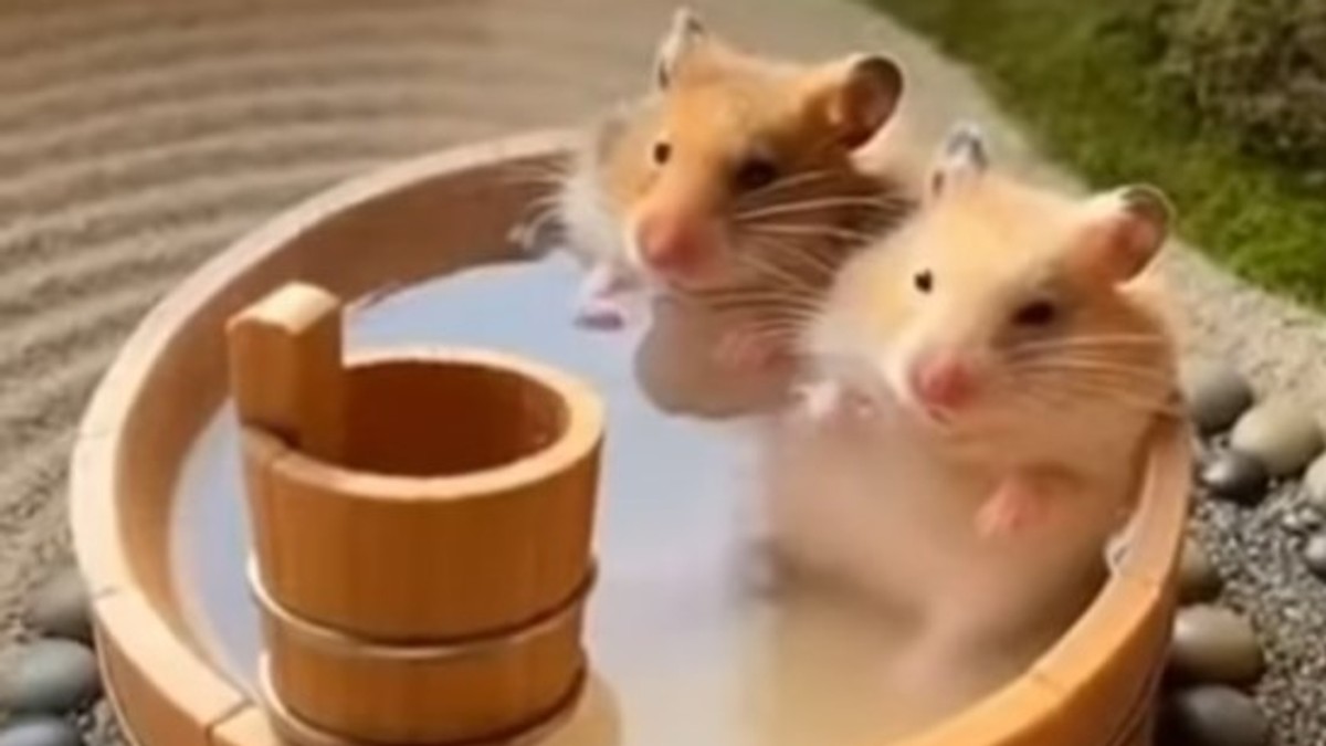 AI generisani snimak