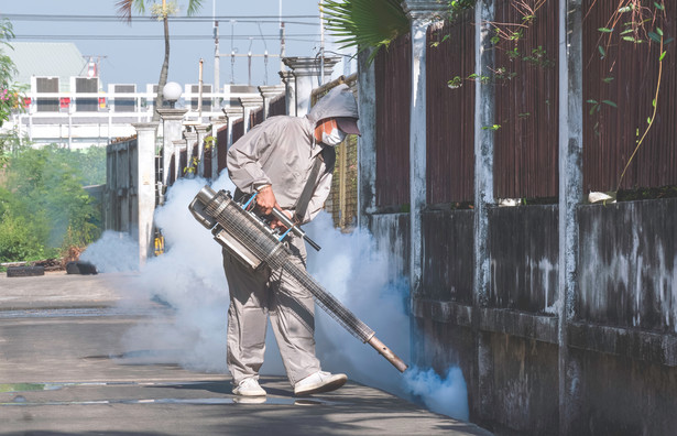 Obecnie ogniska dengi pojawiają się w kolejnych krajach. W niektórych z nich sytuacja zaczęła wymykać się spod kontroli.