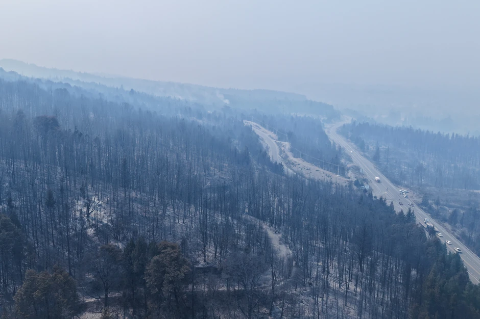 Izgorela šuma u Epujenu u Patagoniji, Argentina, 9. januara