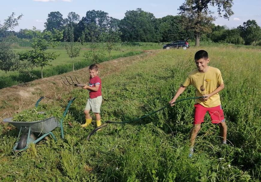 Nemanja Misimović i njegov brat rado pomažu roditeljima