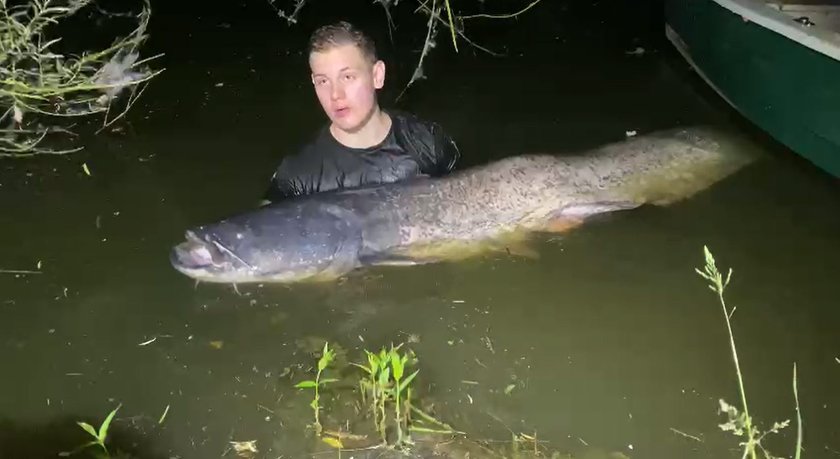 Jarosławki. Kacper Stępień złowił suma mierzącego 2,5 metra