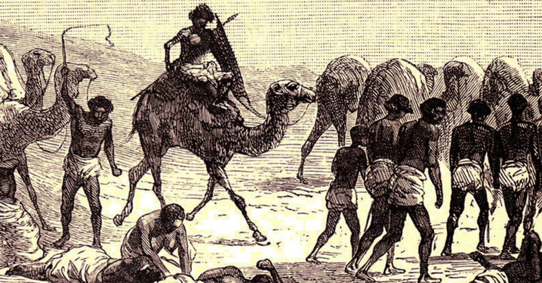 Karawana niewolników pędzonych przez Saharę. Rycina XIX-wieczna.