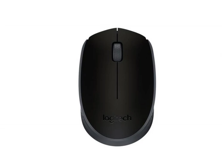 Logitech M171