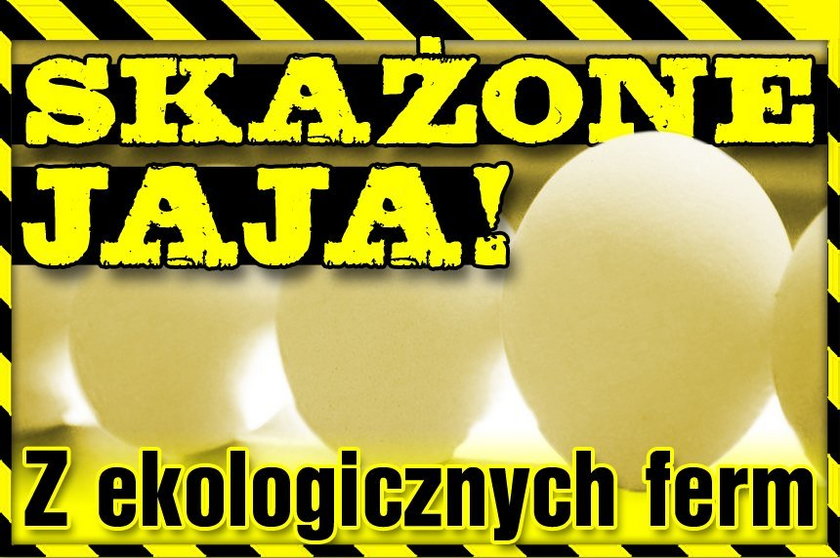 Skażone jaja! I to z ekologicznych ferm!