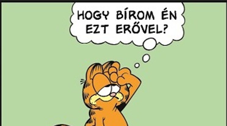 Garfield megijed, hogy nem fogja bírni a hajtást