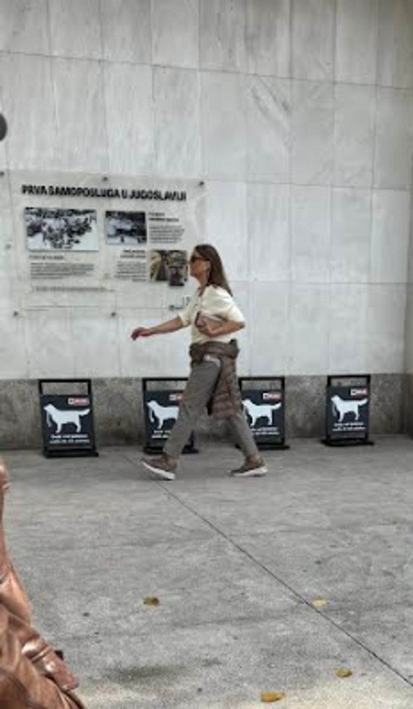 Majka Vujadina Savića