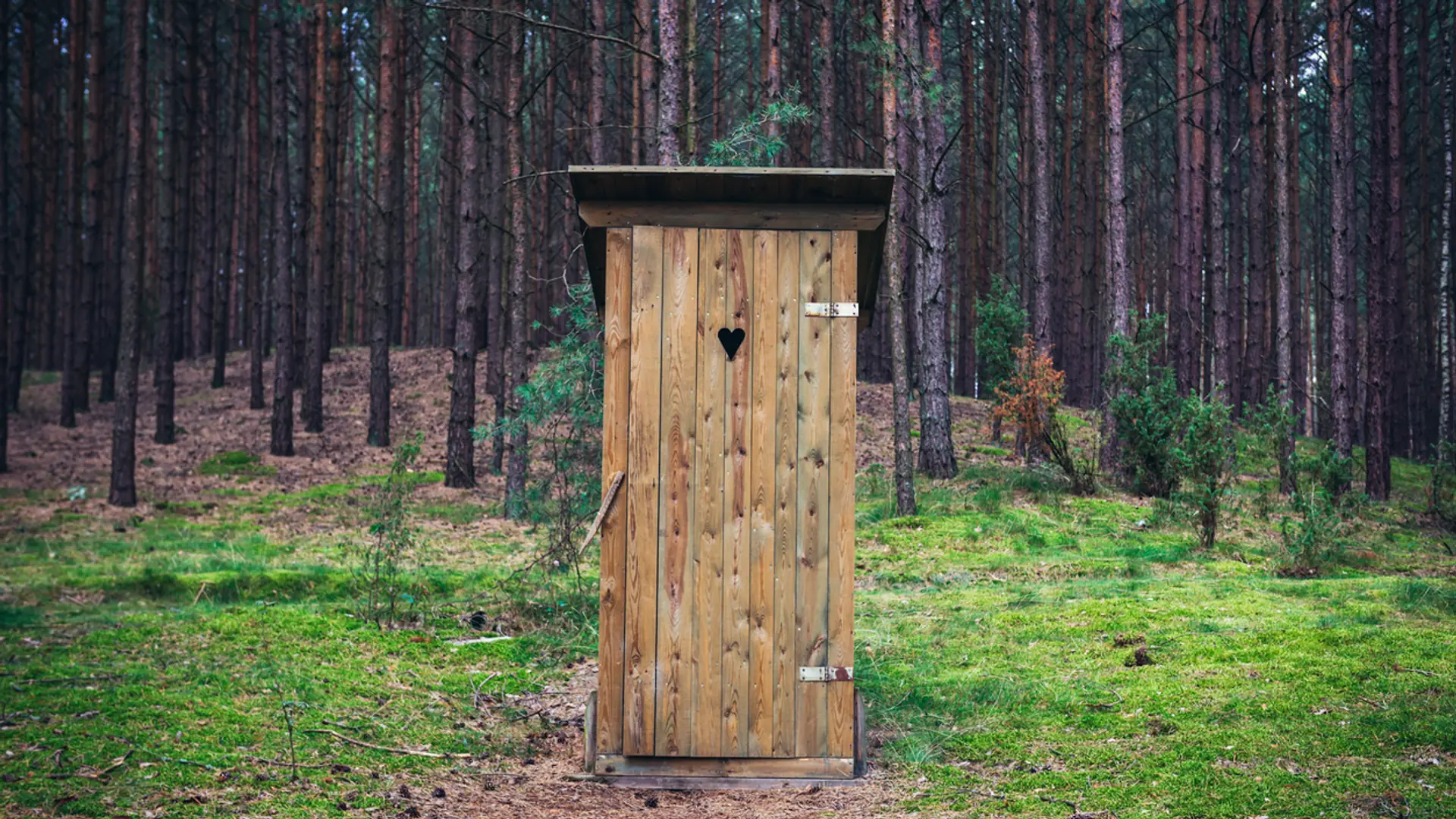 Drewniany wychodek i papier toaletowy promują Polskę na światowej wystawie. Dobry pomysł?