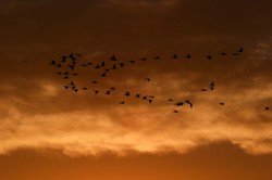 Najkrótszy dzień, ale jaki piękny