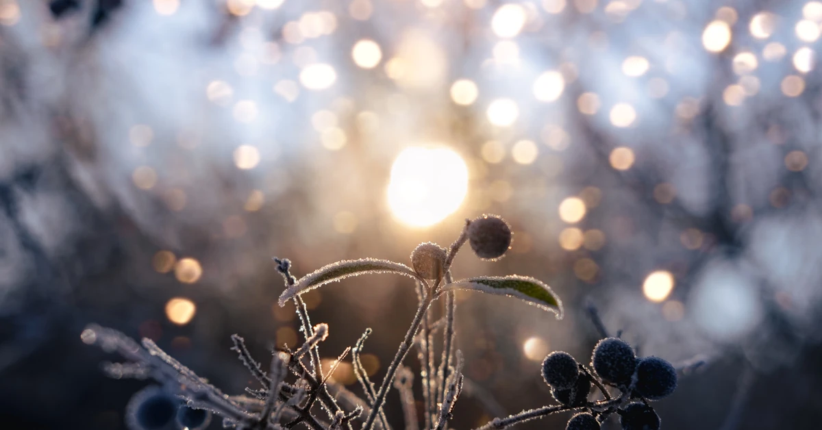 Przesilenie zimowe 2025. Te cztery znaki zodiaku poczują, iż żyją