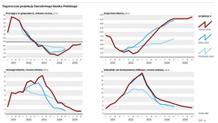 NBP: Spowolnienie uderzy w zatrudnienie, ale nie w płace