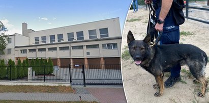 Wielka obława po tragicznej uciecze z poprawczaka w Trzemesznie. Policja złapała 18-latków