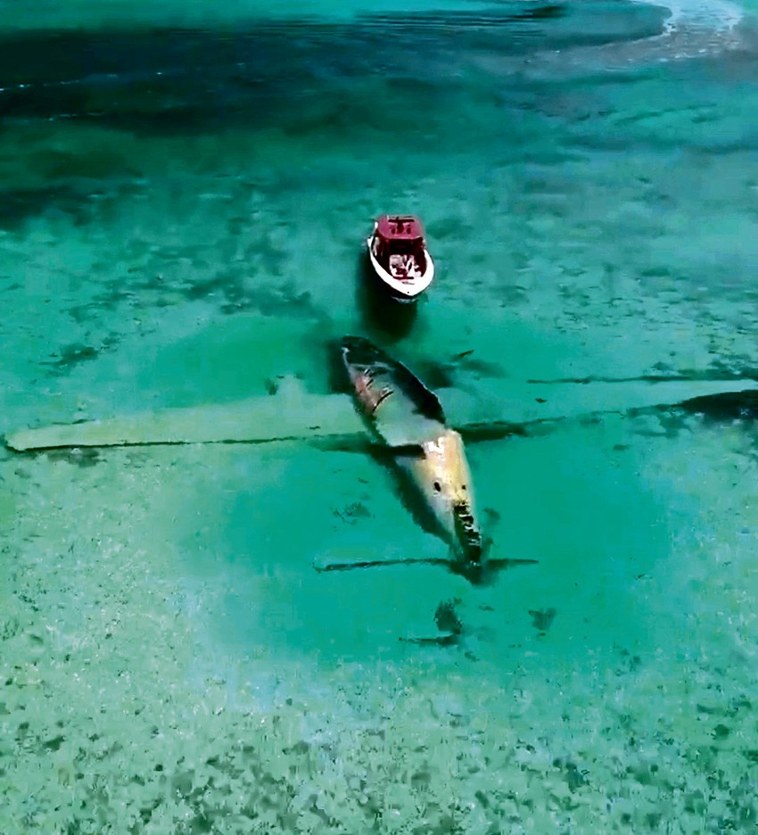 Pablo Eskobar, tajni putevi droge: Do Majamija Eskobar je švercovao tone kokaina uglavnom malim avionima