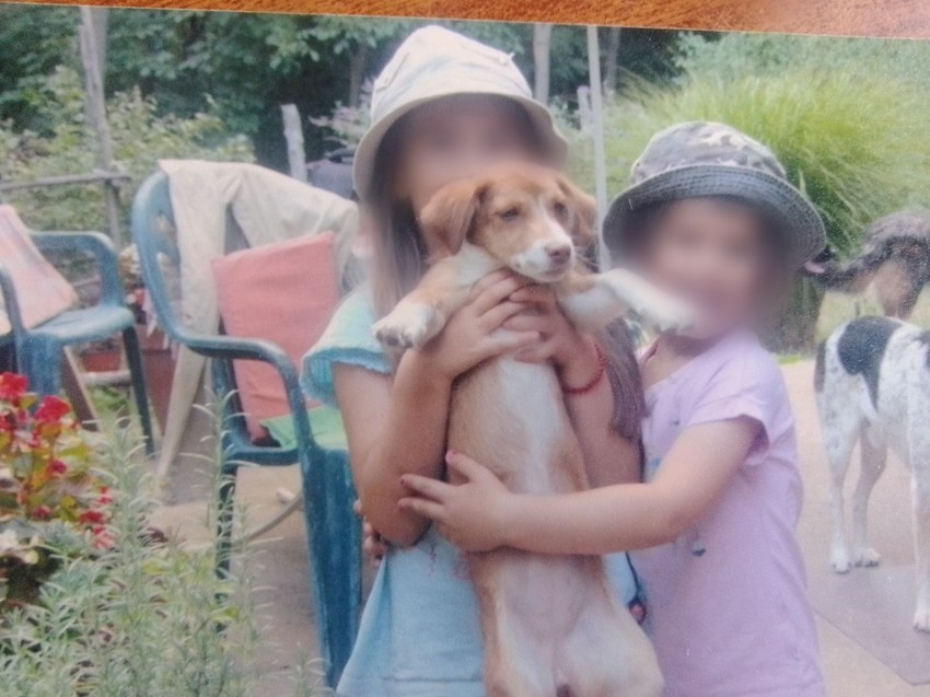 Devojčice i uginuli pas Anči