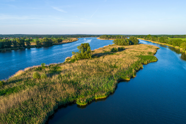 Rzeka Odra