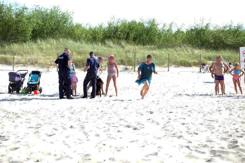 Mrożące krew w żyłach sceny na plaży. Rottweiler pogryzł chłopca, a właścicielka psa zaatakowała rodzinę dziecka i policjanta