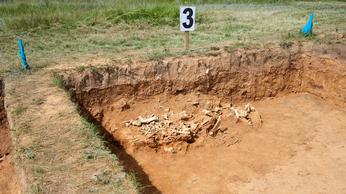 Tysiące fragmentów naczyń, które służyły do produkcji soli ok. 2,5-3 tys. lat temu, odkryli archeolodzy w Tyrawie Solnej (woj. podkarpackie). - To unikatowe miejsce. Najbliższe ślady pozyskiwania soli w pradziejach pochodzą z rejonu Wieliczki - poinformował dr Maciej Dębiec.