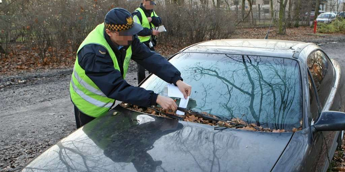 Straż miejska gnębi tylko kierowców