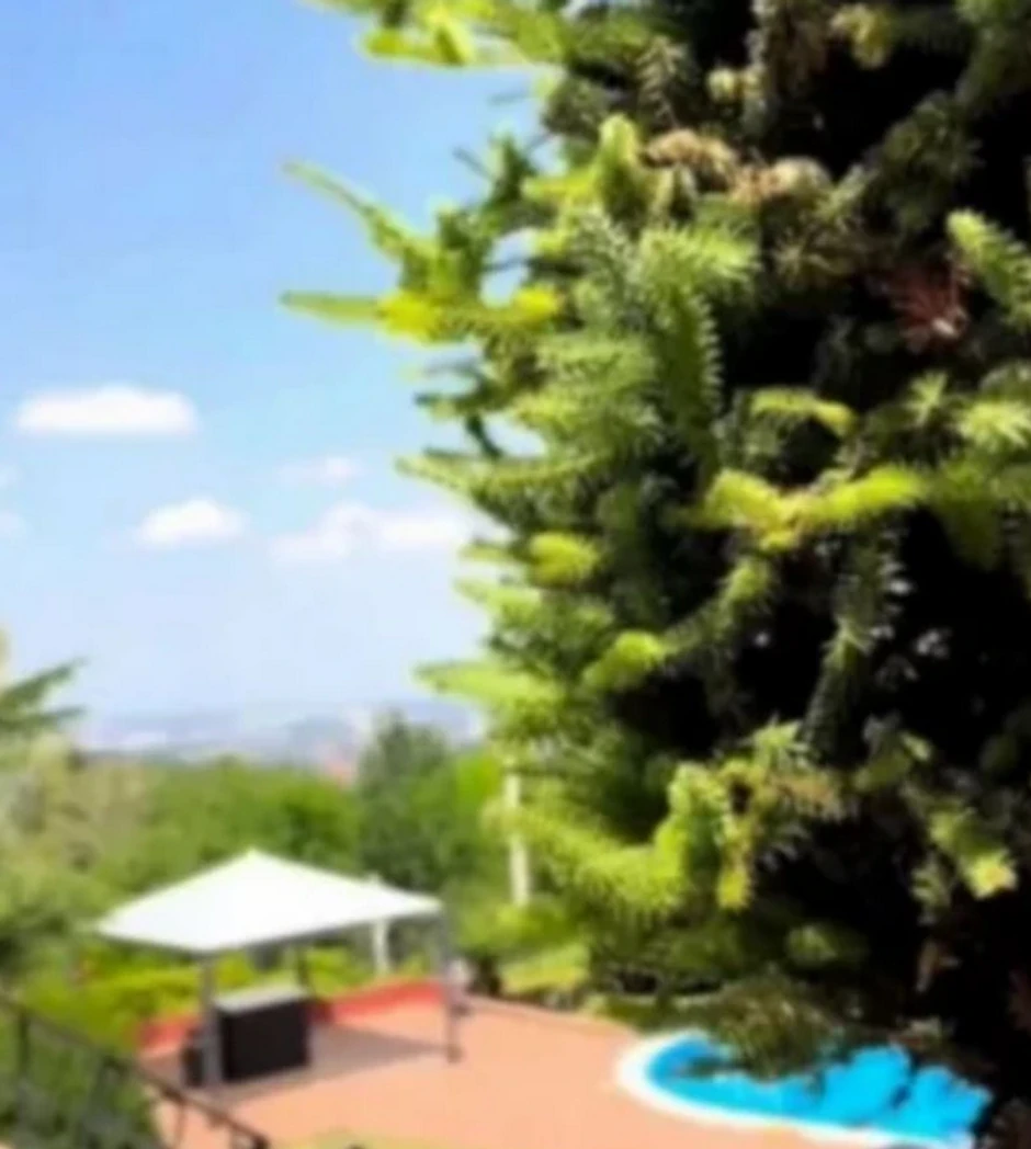 Vikendica Kristine Radenković