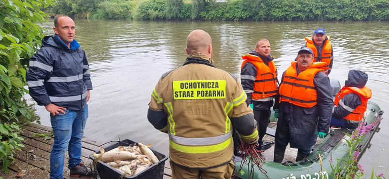Śnięte ryby znów w Odrze, spływają od Czech. Wojewoda zwołał sztab kryzysowy