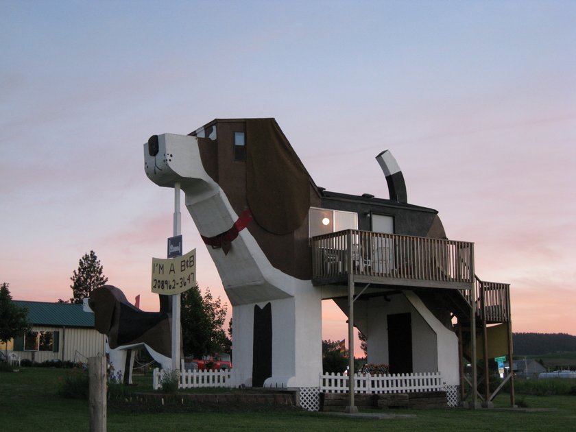 Najdziwniejsze hotele na świecie - Dog Bark Park Inn