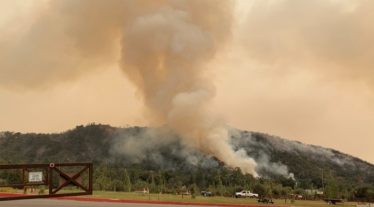 Fire / San Bernardino National Forest 