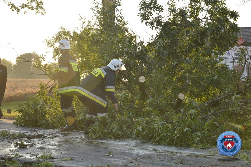 Krajobraz po nawałnicy jaka nawiedziła region łódzki