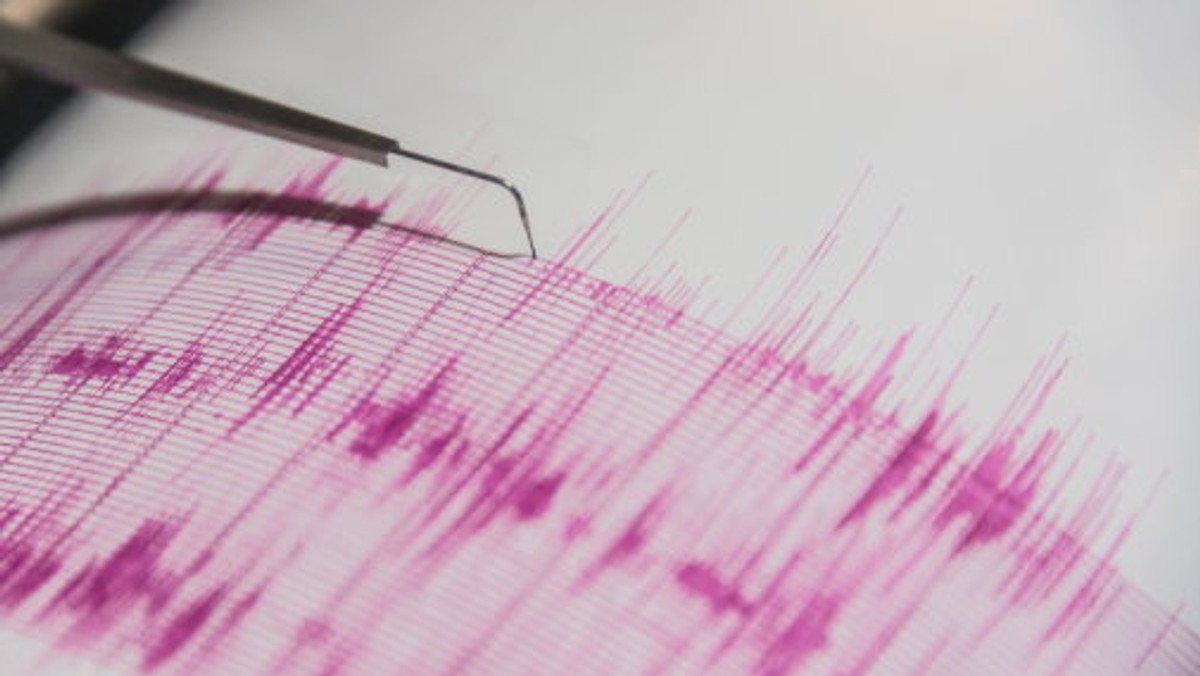Na Śląsku i w Zagłębiu doszło w nocy do silnego wstrząsu sejsmicznego. Odczuli go m.in. mieszkańcy Katowic, Chorzowa, Siemianowic Śląskich i Zabrza. Prawdopodobnie nastąpiło tąpnięcie w którejś z kopalń - informuje stacja TVN24.pl.