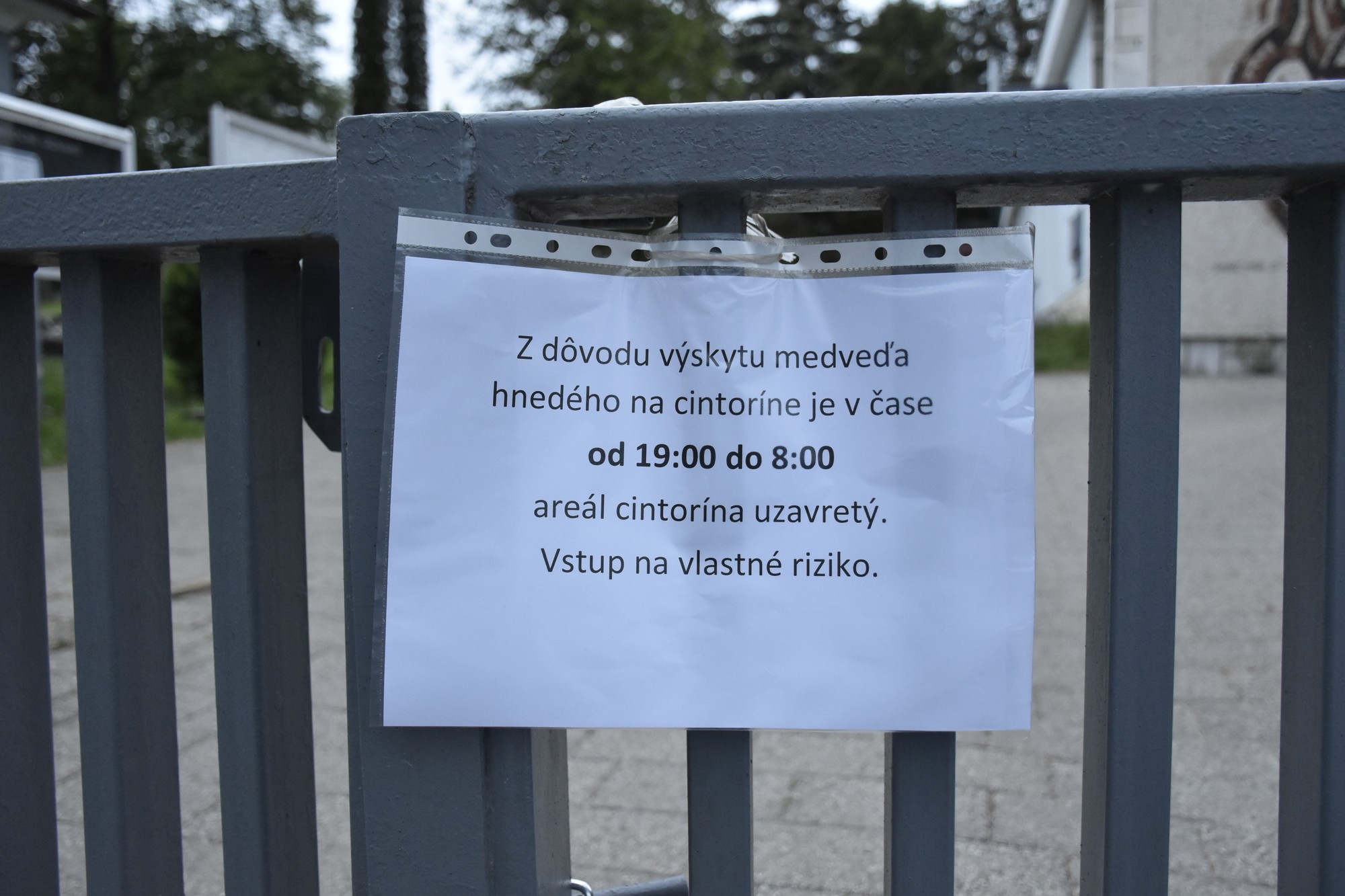 Pohyb najmenej štyroch medveďov zaevidoval v týchto dňoch zásahový tím Štátnej ochrany prírody (ŠOP) v areáli mestského cintorína v Ružomberku.