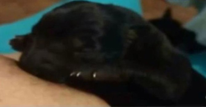 I ovoj bebi je potrebno mleko da bi rasla