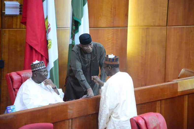 The President of the Senate, Ahmad Lawan and the Deputy President of the Senate, Ovie Omo-Agege during plenary  [Twitter/@OvieOmoAgege]