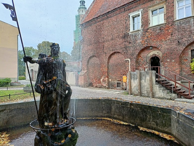 Fontanna miejska z XVIII wieku, przedstawiająca kobietę w zbroi, która w prawej ręce trzyma proporczyk z herbem miasta - krzyżami jagiellońskimi. Ot może i to sama Matka Boża, jako Pani tego miasta. Kto wie.